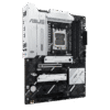 w800 (1)