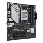 w800 1 3