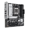 w800 1 6