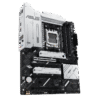 w800 (2)